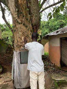 Sacred tree man prayer photo