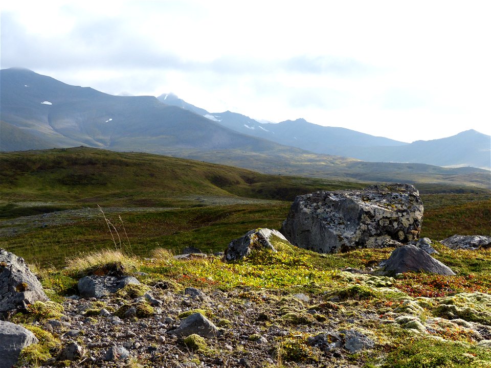 Fall colors in Izembek wilderness