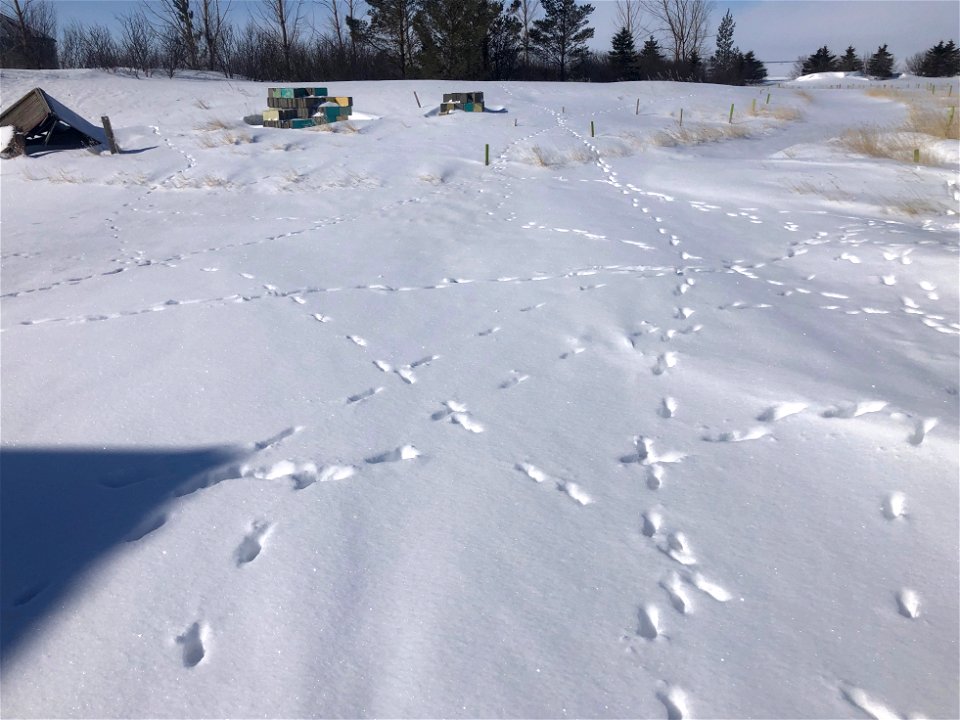 Fox Highways