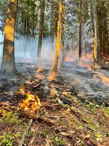 Sand Mountain Fire photo