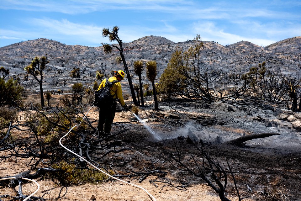 A Firefighter Putting out Hot Spots in a Burned Area of the Elk Fire