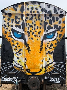 Painted cheetah face graffiti street art