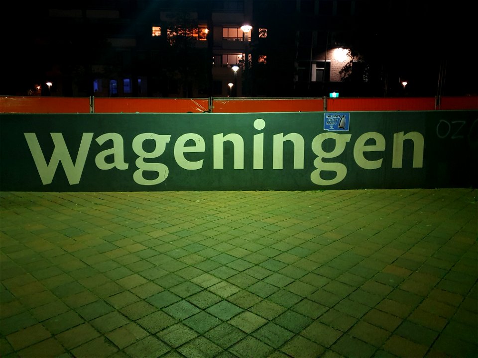 Wageningen fietsenstalling