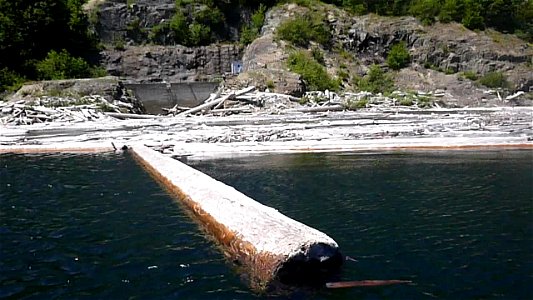 Spirit Lake Log Retention