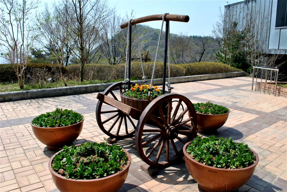 Younginsan Park Spring 2023