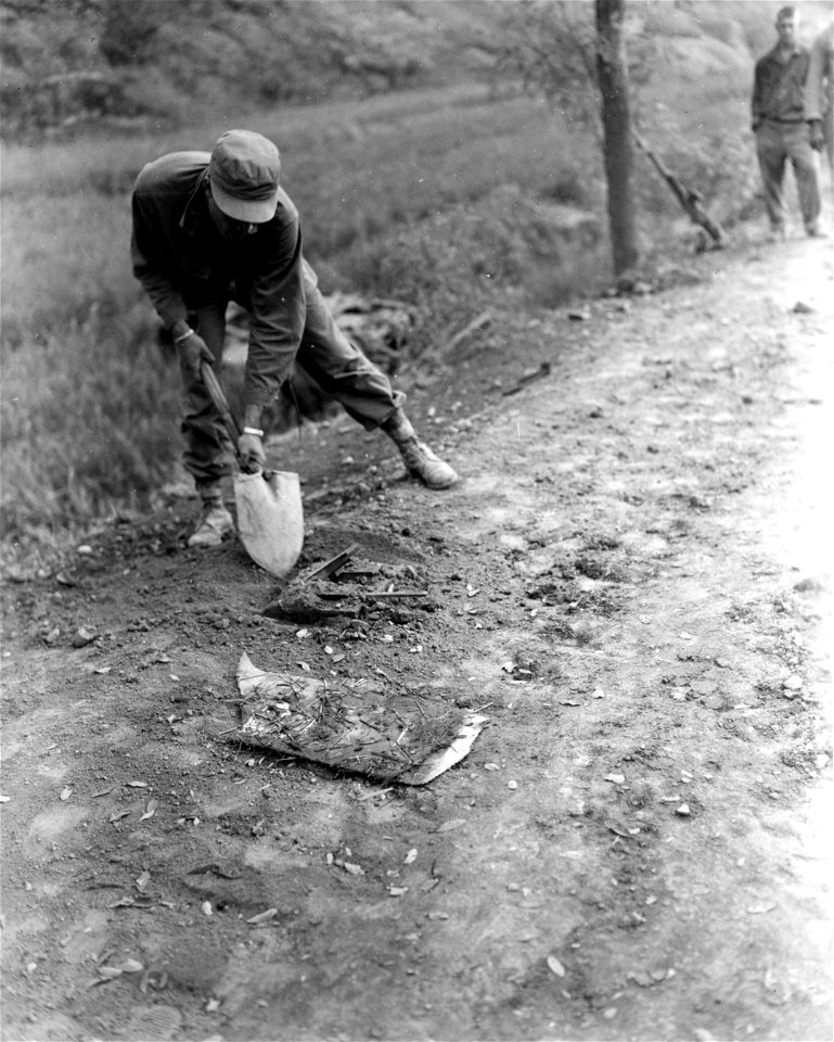 SC 348838 - Lt. Robert Green, Oakland, Calif., prepares to remove mine in Korea. He is of the 77th Combat Eng. Corp. 13 September, 1950.