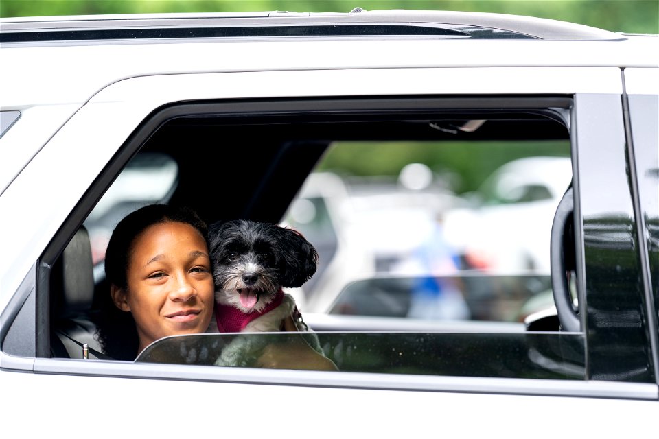 Visitor and Dog in a Car