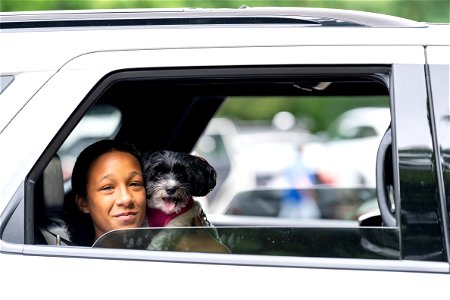 Visitor and Dog in a Car photo