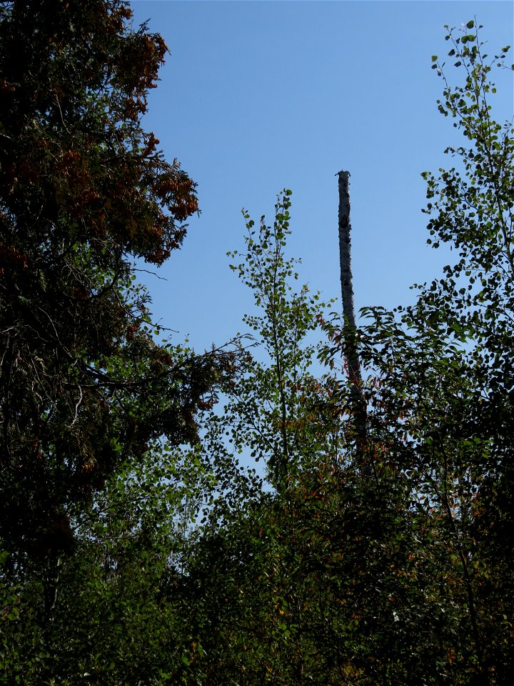20220913-FS-Superior-SAR-033