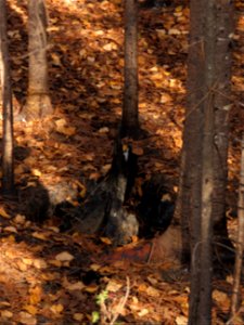20211019-FS-Superior-SAR-017