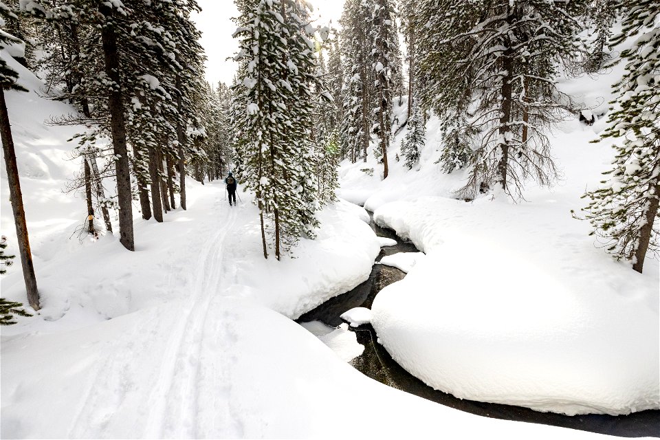Views along the Spring Creek Ski Trail