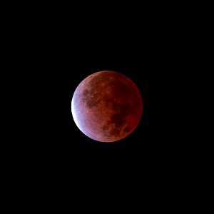 Day 324 - Partial Lunar Eclipse on 11-19-21 photo