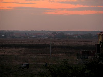 oriz2008_1007_185600