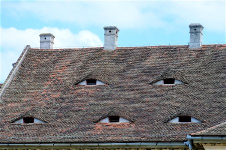 Roof Windows Shaped Like Eyes photo