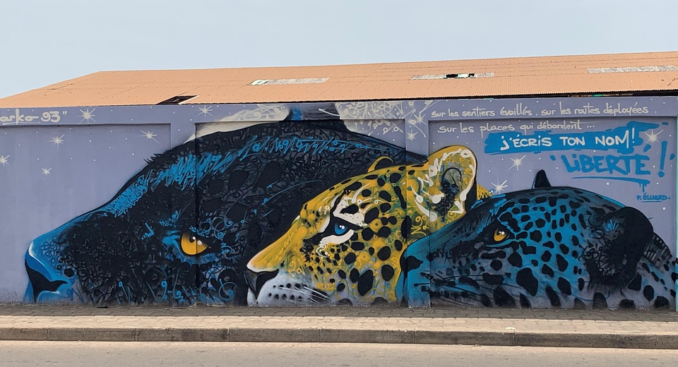 Graffiti street art color