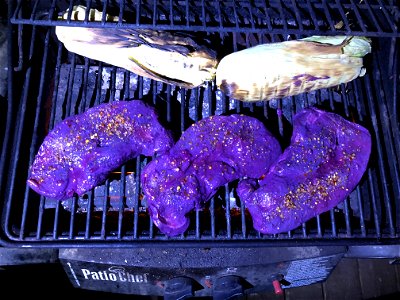 Food for Outer Space Visitors?