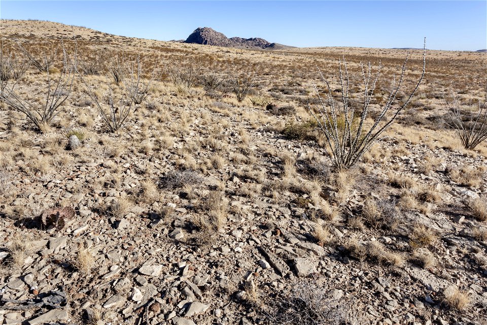 Otero Mesa