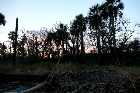 beautiful sunset-P1950107