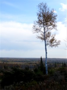 20221011-FS-Superior-SAR-008