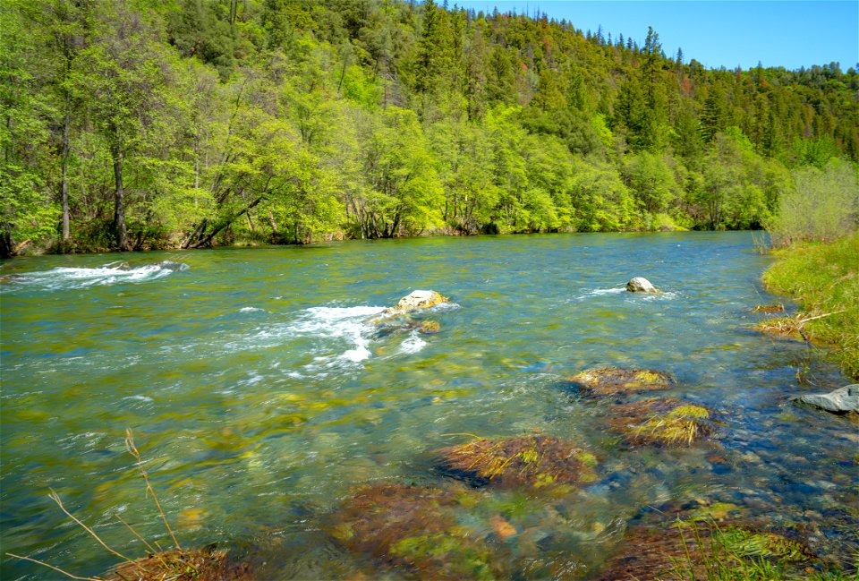 Steel Bridge Campground and River Access