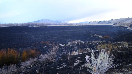 Prescribed Burn