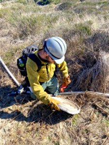 Siuslaw Oregon Dunes Prescribed Burn 2022 photo