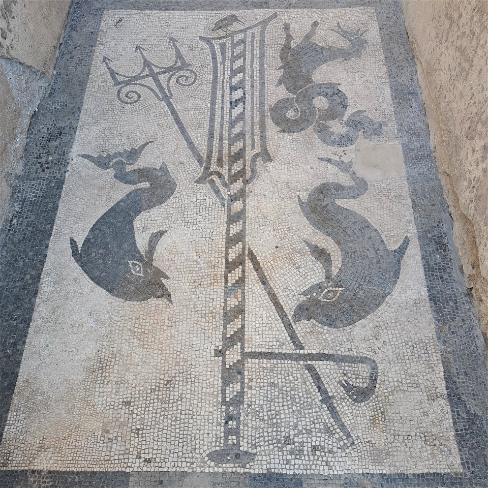 Black and white Dophins House of Mars and Venus and Casa de Blondo or Blondi Ruins Pompeii Italy