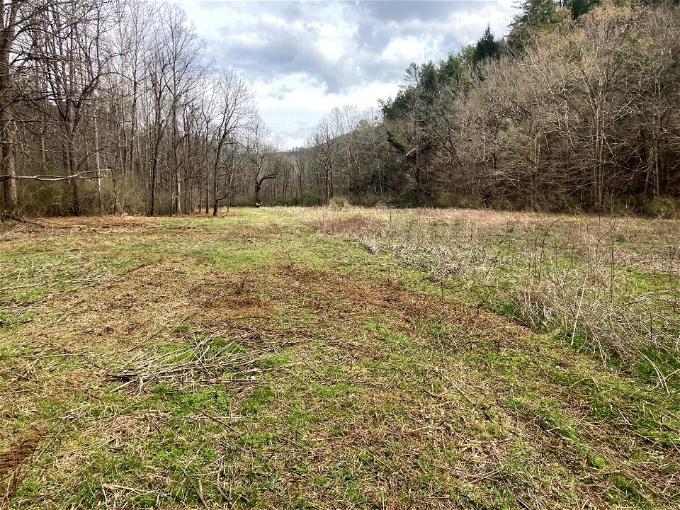Sylco Field Mid-Treatment_Bo Reynolds_March 2022