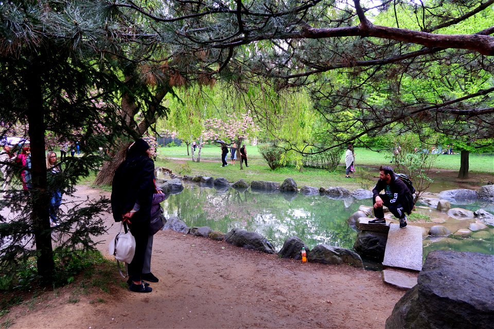 japanes_garden_rain_Herastrau (94)