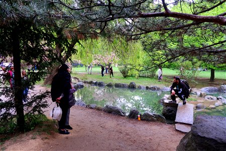 japanes_garden_rain_Herastrau (94)