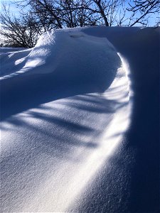 The Geometry of Wind Blown Snow photo