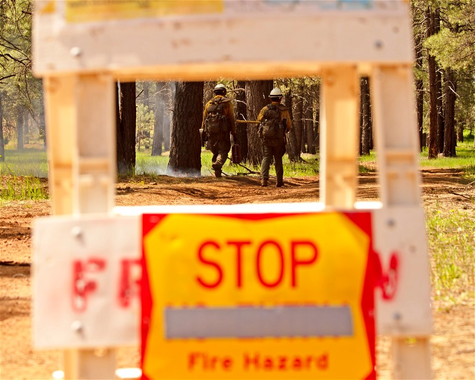 Crater Sinks prescribed fire project