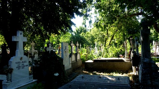 cimitir_SfVineri2021_0808_090315
