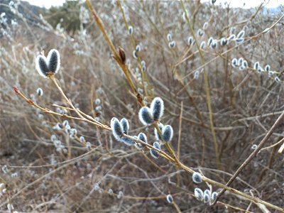 Cheonan Hiking photo