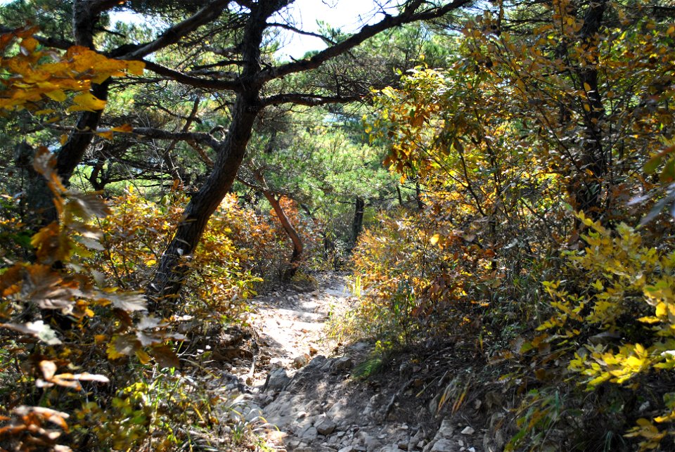 Deoksungsan Mountain