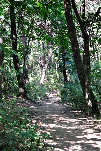 Teajosan Mountain Hiking