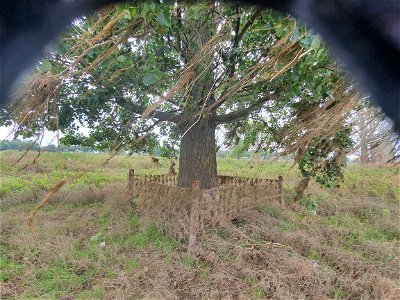 Overstroming Roermond