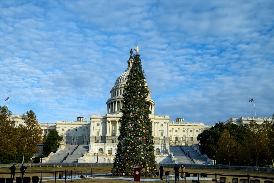 CapitolXmasTreeLighting-WashingtonDC-001