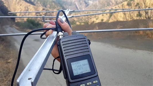 Nadya Seal Faith, a conservation and research associate with The Santa Barbara Zoo, tracks California condor chick #871 via VHF signal.