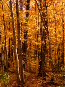 20221011-FS-Superior-SAR-014