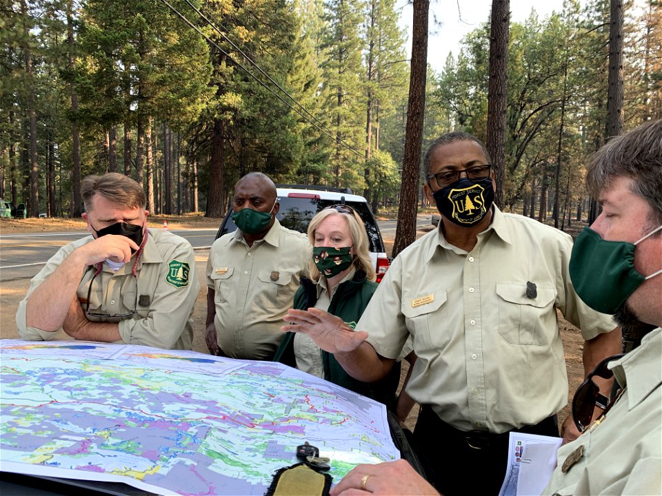ForestManagement-Eldorado-Sept2021-1169