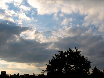 Cismigiu_20040328_36