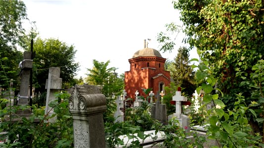 SfVineri_cemetery2021_0724_072850(1)