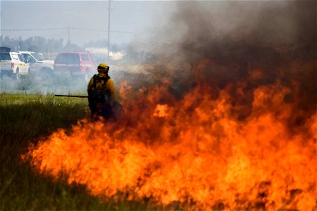 BLM’s Folsom Lake Veterans Crew perform RX Burn at Cosumnes River Preserve restoring critical habitat. photo