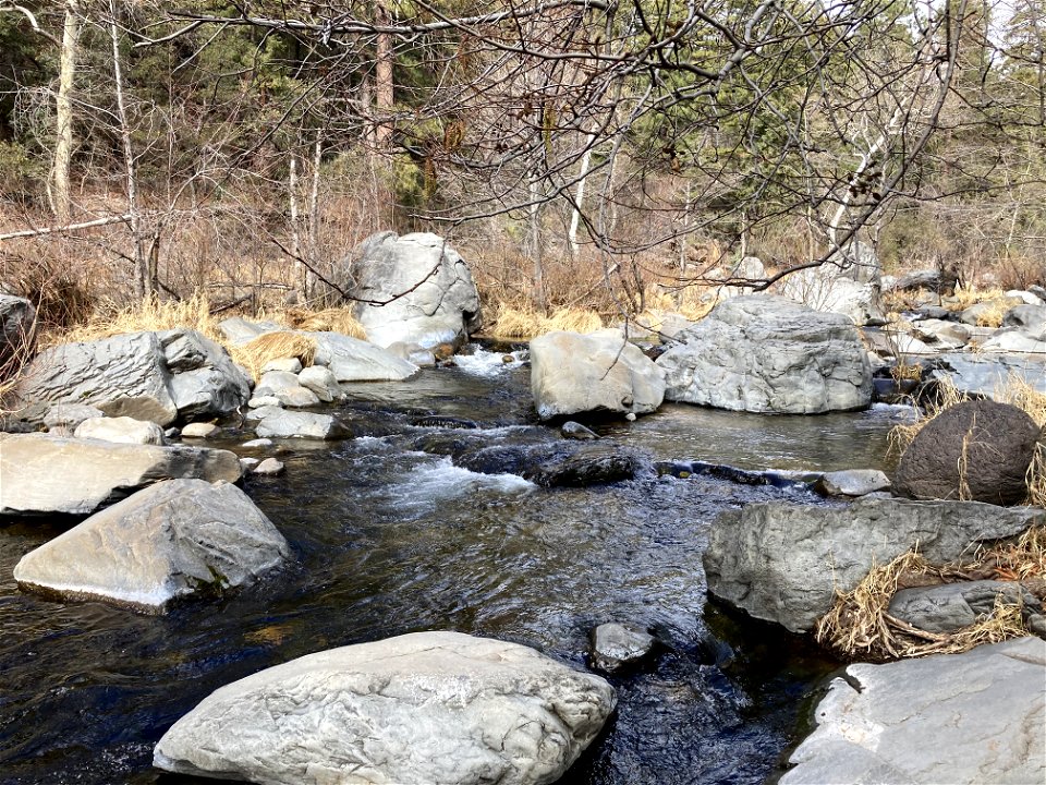 A.B. Young Trail