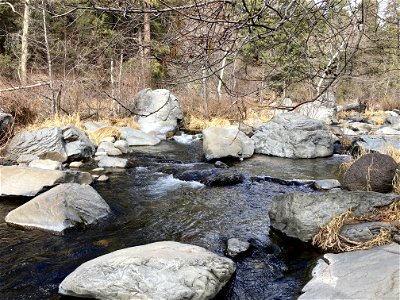 A.B. Young Trail photo