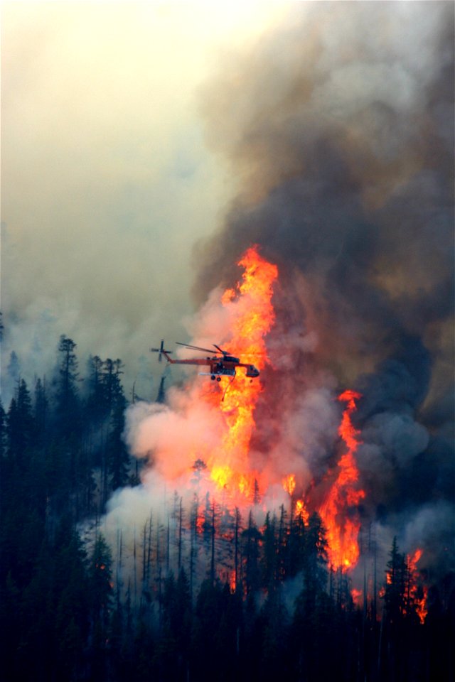 craneoverfirejpg_49385063873_o