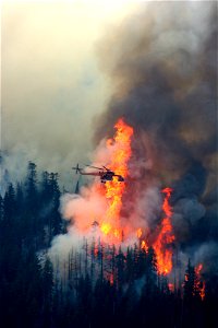 craneoverfirejpg_49385063873_o