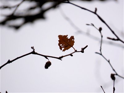 20211026-FS-Superior-SAR-010