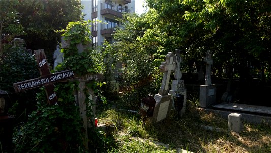 DSC07992